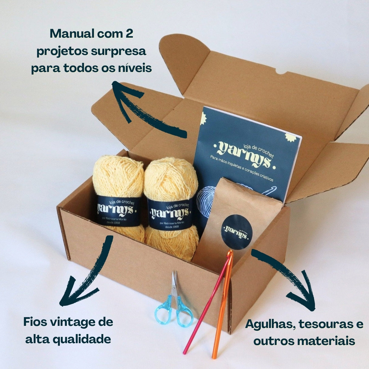 Caixa de Projeto de Crochet